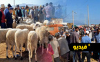 ماذا عن أسعار أضاحي العيد بسوق أركمان؟