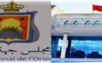 نشطاء بالناظور يطالبون بالكشف عن الشركات التي أبرم معها مجلس الجهة اتفاقيات شراكة 