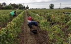 اتفاقية بين فرنسا والمغرب لتسهيل توظيف عمال موسميين