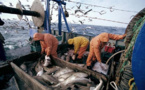 انتهاء صلاحية اتفاقية الصيد البحري بين المغرب والإتحاد الأوروبي يضع إسبانيا في موقف حاسم