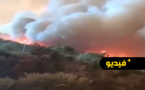 الجزائر تواجه كارثة حرائق الغابات: عشرات القتلى والجرحى في ثلاث ولايات شمال البلاد