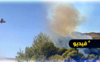 طائرتان تحاولان الإطفاء.. النيران تحرق غابات بالدريوش مستنفرة عامل الإقليم والسلطات