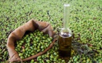 بعد نفاذها في أوروبا.. المغرب يوقف تصدير زيت الزيتون حتى لا يرتفع سعرها