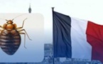 وزارة الصحة تستنفر مصالحها لمجابهة خطر دخول البق الفرنسي