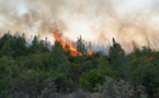 الحسيمة.. حريق مهول يلتهم مساحات كبيرة بغابة مركز إيكاون