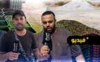 انطلاق موسم الزيتون بالناظور وشهادات جماعية على جودة منتوج بوعرك وأركمان