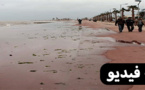 بحيرة مارتشيكا تَتَقَيّـأُ من أحشائها القمامة لتطفو على سطح الكورنيش مع كل هبَّة ريح