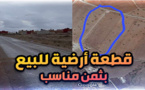 قطعة أرضية مساحتها أزيد من هكتارين للبيع بثمن مناسب