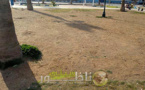 الناظور.. من المساحات الخضراء إلى الفضاءات الجرداء، ولا شيء يُنبئ بالإصلاح القادم