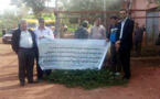 الناظور تشارك في دورات تكوينية حول كيفية التربية العصرية للأغنام بخنيفرة