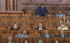"بسبب تبديده للمال العام".. المحكمة الدستورية تجرد "هشة بشة" من صفة برلماني