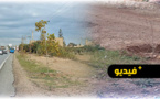 اختفاء الأشجار على طول الطريق الرابطة بين سلوان والناظور تسائل الجهات المشرفة على المشروع 