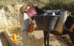 أزمة الجفاف بالمغرب.. بركة يقر بصعوبة الوضع ويتوقع قطع الماء الشروب عن المواطنين