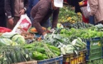 الارتفاع المتزايد لأسعار الخضر واللحوم يسائل دور وزارة الفلاحة تجاه الأزمة