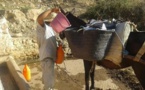 أزمة الماء.. الحكومة تتخذ إجراءات استعجالية لمواجهة العطش
