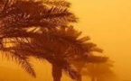 نشرة إنذارية.. رياح قوية وغبار بالناظور يوم غد الأحد