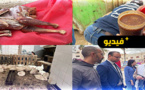 حجز دجاج ميت ومواد غذائية فاسدة.. سلطات الناظور تشن حملة على الأسواق 