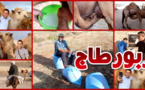 الفلاحة وتربية الإبل بقبيلة بوجدار إقليم الناظور بين الاستثمار ومشاكل الفلاحيين