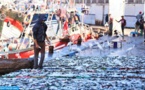 903 طن من الأسماك تم صيدها خلال شهرين بالناظور وقيمتها وصلت إلى أزيد من 41 مليون درهم