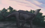 اكتشاف نوع جديد من الديناصورات بالمغرب