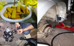 الكلاب المدربة لدى الشرطة تفلح في إشتمام 20 كلغ من الشيرا بميناء بني أنصار