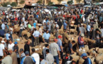 سوق زايو يسجل وفرة أضاحي العيد والأسر تستاء من حمى الأسعار
