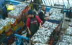 مهنيو الصيد بالناظور والحسيمة متضررون بسبب الصيد الجائر بالديناميت