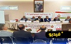 ندوة بالناظور بمناسبة المسيرة الخضراء تسلط الضوء على تطورات قضية الصحراء