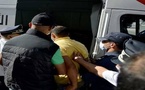 هذا ما قضت به المحكمة في حق طبيب وصف "قائد" بالحمار