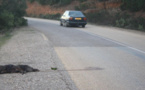 اصطدام عدد من السيارات بالخنازير البرية يثير استياء مستعملي طريق جبل القرن‎