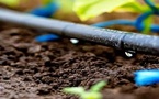 خطط جديدة لتلبية الطلب المتزايد على مياه السقي في سافلة ملوية خطط جديدة لتلبية الطلب المتزايد على مياه السقي في سافلة ملوية
