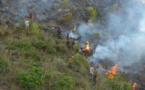 تقارير إخبارية: النيران تأتي على 4 هكتارات نواحي شاطئ بوسكور بالحسيمة‎