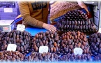 تزامناً واقتراب شهر رمضان.. ارتفاع أسعار التمور بالمغرب