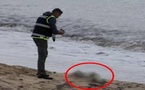 حاول السباحة إلى الثغر المحتل.. العثور على جثة مهاجر جزائري لفظه البحر
