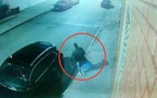 شيكات و550 مليون نقداً.. لصوص يسطون على ودائع شركة بطريقة هوليودية