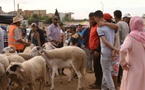 حملة وطنية لمنع ذبح الأضاحي.. هل يلتزم الناظور بالتعليمات؟