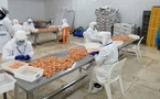 "زكامين" لتنقية القمرون بالناظور توقع شراكة إسبانية هولندية
