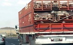 توقيف شاحنة تحمل أكثر من 70 خروفا