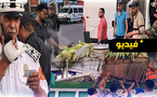 حملة واسعة لتحرير الملك العمومي تستهدف العربات المجرورة بالناظور
