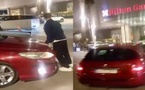 طنجة.. كلب يهاجم فتاة وسائق يدهس شابا ويلوذ بالفرار