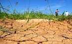 حرارة قياسية تضرب المغرب وتهدد الفلاحة: محاصيل في خطر والفلاحون يدقون ناقوس الخطر