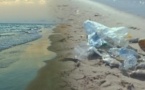 الأزبال تغزو شاطئ بوقانة في عز الصيف وتُغضب المصطافين
