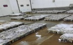 مهنيون يطالبون بفتح تحقيق بعد فضائح تثمين الأخطبوط غير القانوني بإقليم الناظور