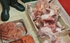 دجاج فاسد.. إحباط كارثة غذائية كانت موجهة للأعراس دجاج فاسد.. إحباط كارثة غذائية كانت موجهة للأعراس