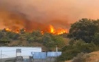 إيقاف شخص يشتبه في إشعاله حريقا غابويا خطيرا بشفشاون