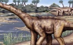 اكتشاف جيولوجي مذهل.. المغرب يكشف عن أقدم ديناصور من فصيلة "التورياسورات" بإفريقيا اكتشاف جيولوجي مذهل.. المغرب يكشف عن أقدم ديناصور من فصيلة "التورياسورات" بإفريقيا