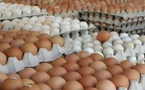 حماية المستهلك تطالب بفرض ترقيم البيض ضمانا لسلامته حماية المستهلك تطالب بفرض ترقيم البيض ضمانا لسلامته