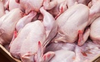 موجة حر ووساطة ترفعان أسعار الدواجن في أسواق المملكة موجة حر ووساطة ترفعان أسعار الدواجن في أسواق المملكة