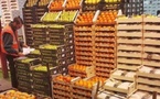 900 مليون يورو من الفواكه والخضر المغربية تصدر نحو أسواق إسبانيا