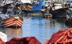 مفرغات الصيد البحري بميناء الناظور تسجل تراجعا ملحوظا